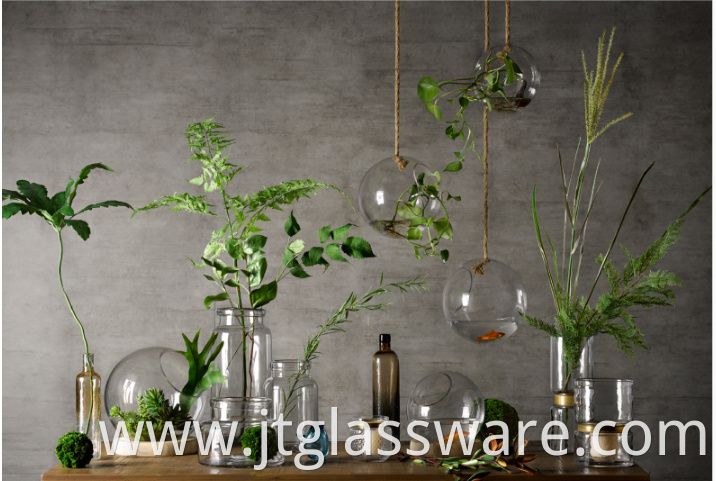 hanging glass terrariums for succulents and air plants